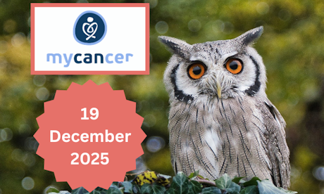 Osteonecrosis of the Jaws in Cancer Medications